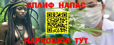 прущие грибы Гусь-Хрустальный